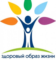 Основы здорового образа жизни Основы здорового образа жизни.